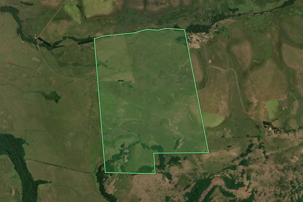 Imagem de satélite do imóvel rural em Rosário do Sul (RS), com o contorno declarado no CAR desenhado por cima.