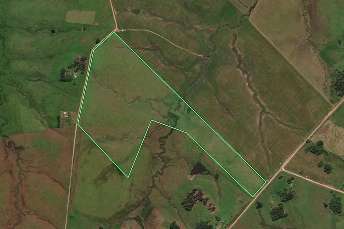 Imagem de satélite do imóvel rural em Rosário do Sul (RS), com o contorno declarado no CAR desenhado por cima.