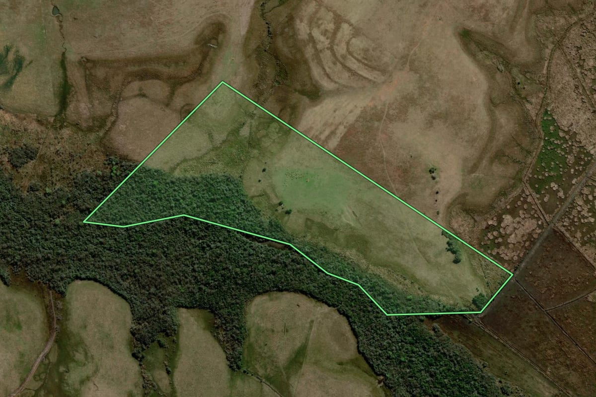 Imagem de satélite do imóvel rural em Rosário do Sul (RS), com o contorno declarado no CAR desenhado por cima.
