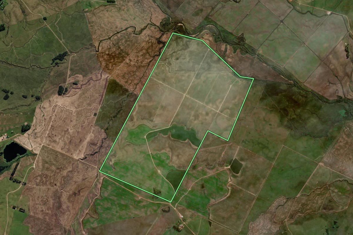 Imagem de satélite do imóvel rural em Rosário do Sul (RS), com o contorno declarado no CAR desenhado por cima.