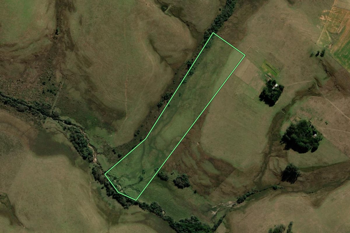 Imagem de satélite do imóvel rural em Rosário do Sul (RS), com o contorno declarado no CAR desenhado por cima.