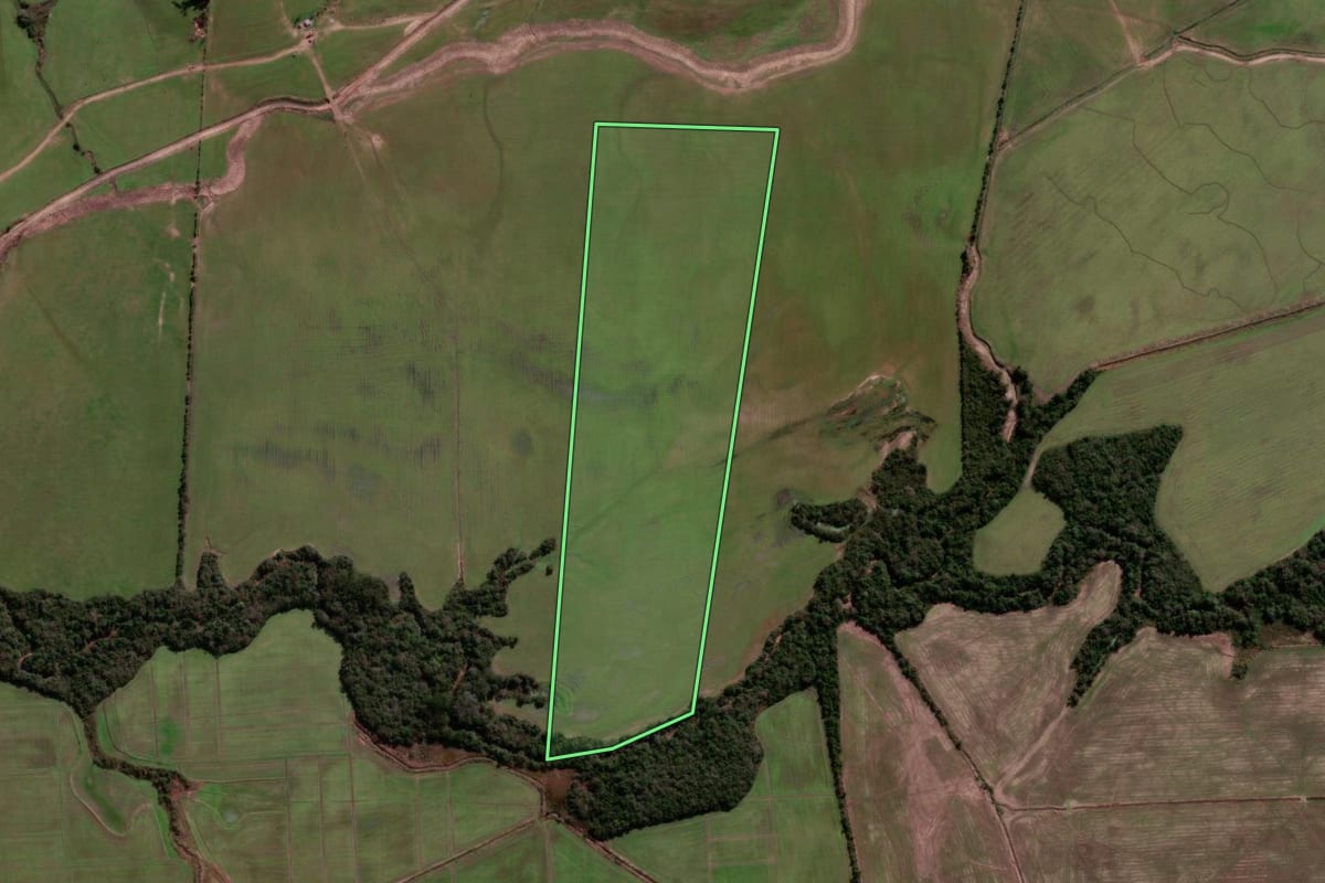 Imagem de satélite do imóvel rural em Rosário do Sul (RS), com o contorno declarado no CAR desenhado por cima.