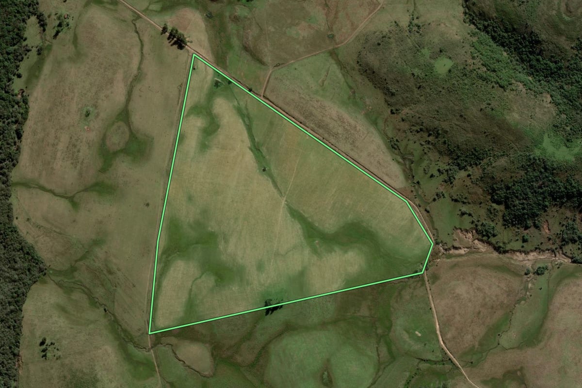 Imagem de satélite do imóvel rural em Rosário do Sul (RS), com o contorno declarado no CAR desenhado por cima.