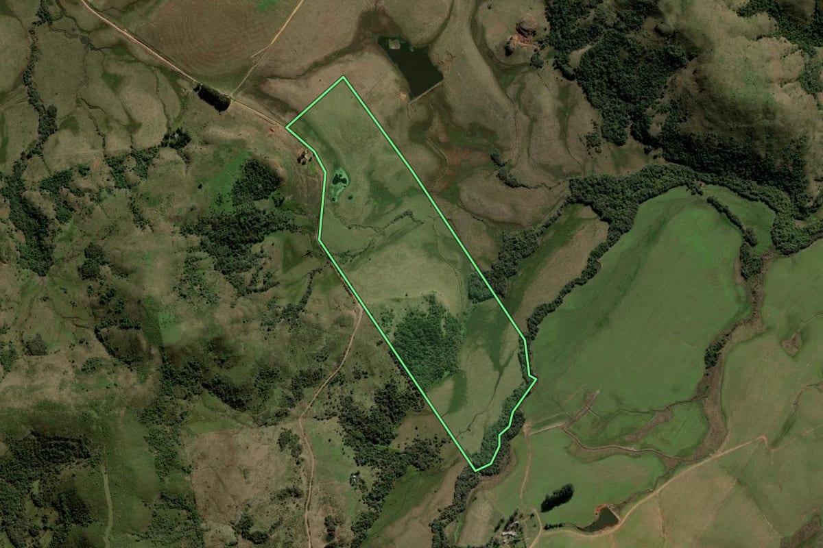 Imagem de satélite do imóvel rural em Rosário do Sul (RS), com o contorno declarado no CAR desenhado por cima.