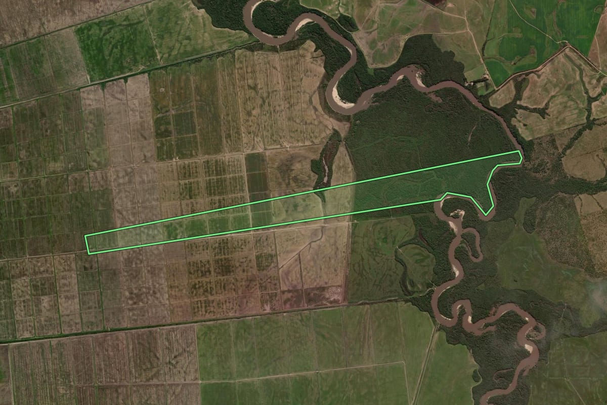 Imagem de satélite do imóvel rural em Rosário do Sul (RS), com o contorno declarado no CAR desenhado por cima.