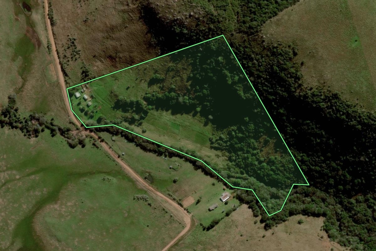 Imagem de satélite do imóvel rural em Rosário do Sul (RS), com o contorno declarado no CAR desenhado por cima.