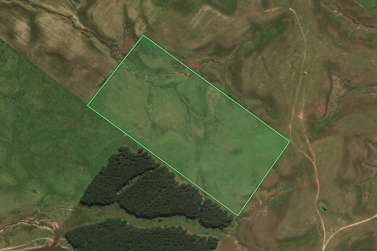 Imagem de satélite do imóvel rural em Rosário do Sul (RS), com o contorno declarado no CAR desenhado por cima.