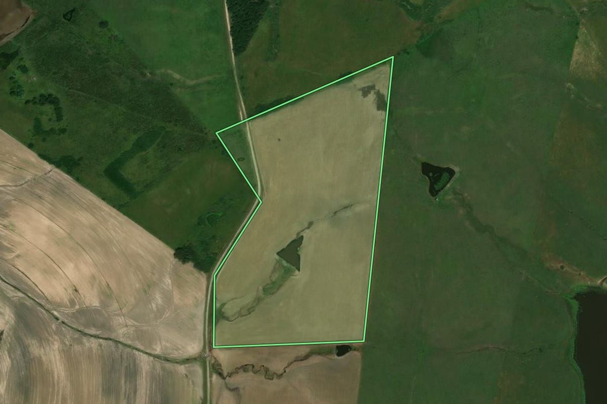 Imagem de satélite do imóvel rural em Rosário do Sul (RS), com o contorno declarado no CAR desenhado por cima.