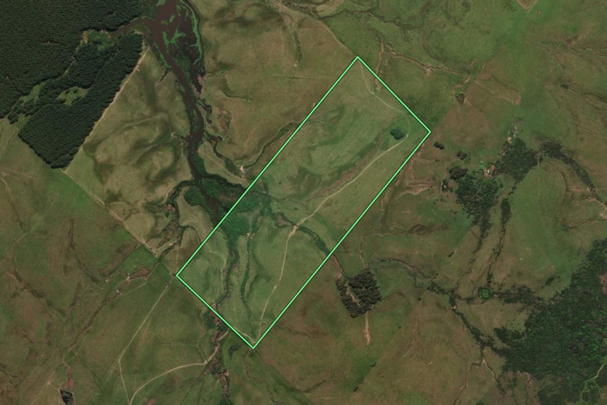 Imagem de satélite do imóvel rural em Rosário do Sul (RS), com o contorno declarado no CAR desenhado por cima.