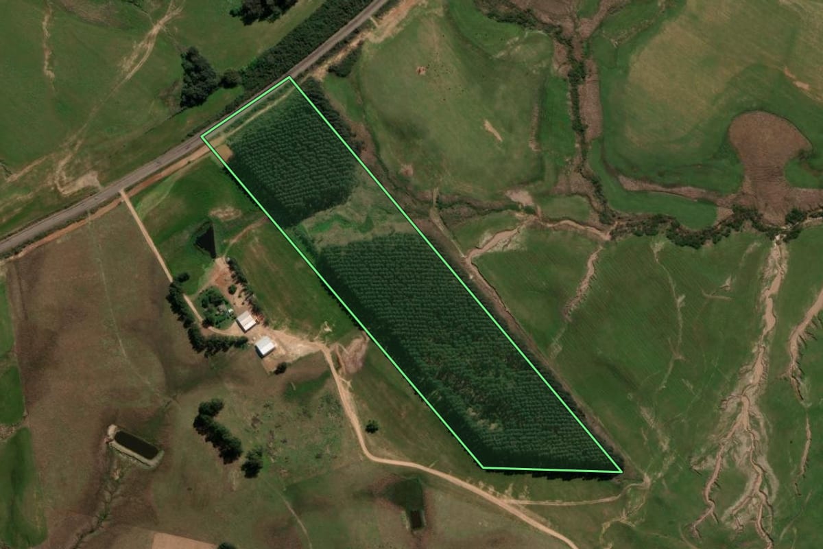 Imagem de satélite do imóvel rural em Rosário do Sul (RS), com o contorno declarado no CAR desenhado por cima.