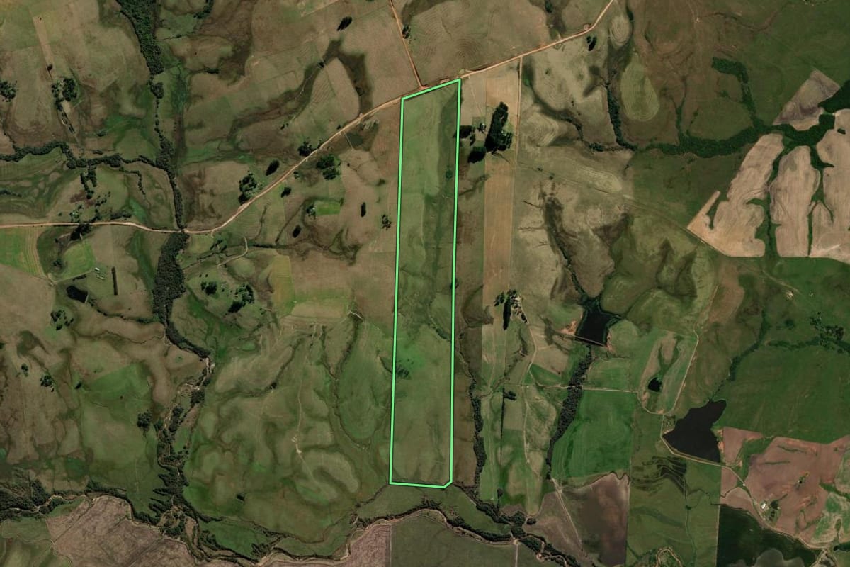 Imagem de satélite do imóvel rural em Rosário do Sul (RS), com o contorno declarado no CAR desenhado por cima.