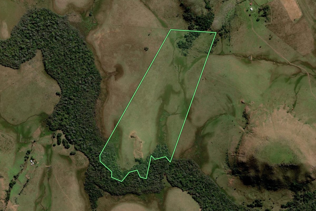 Imagem de satélite do imóvel rural em Rosário do Sul (RS), com o contorno declarado no CAR desenhado por cima.
