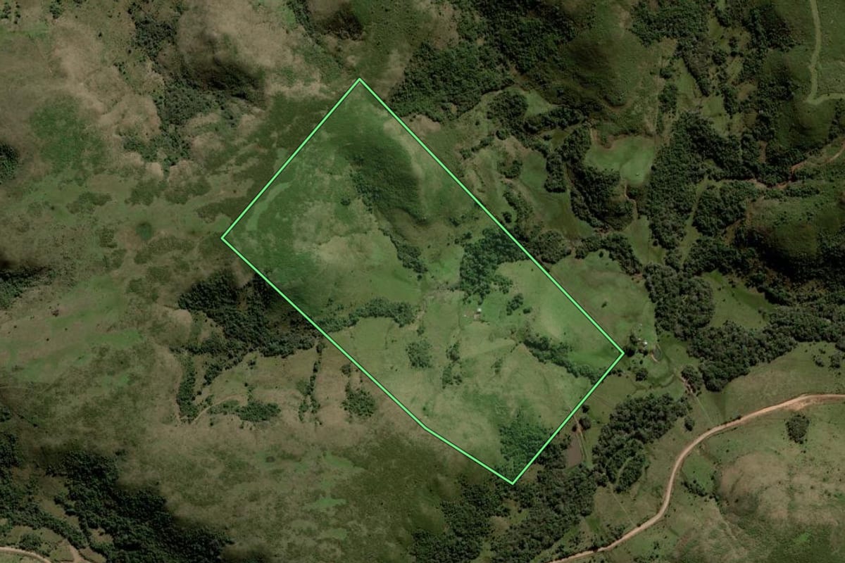 Imagem de satélite do imóvel rural em Rosário do Sul (RS), com o contorno declarado no CAR desenhado por cima.