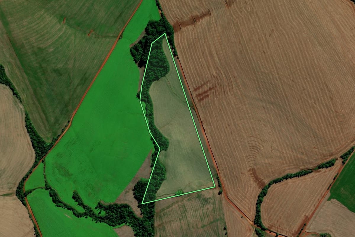 Imagem de satélite do imóvel rural em Saldanha Marinho (RS), com o contorno declarado no CAR desenhado por cima.