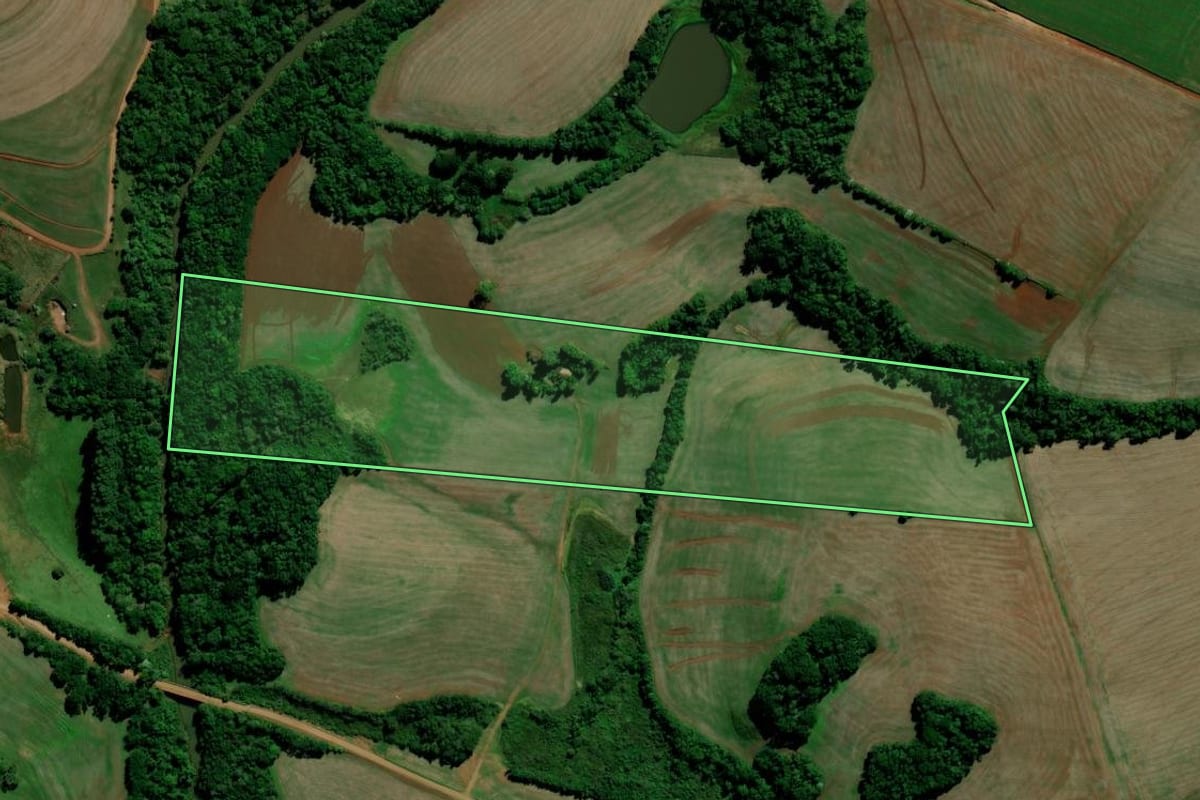 Imagem de satélite do imóvel rural em Saldanha Marinho (RS), com o contorno declarado no CAR desenhado por cima.