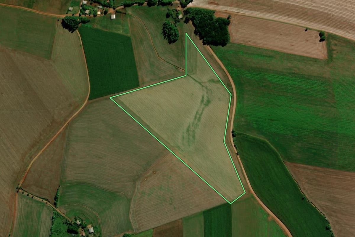 Imagem de satélite do imóvel rural em Saldanha Marinho (RS), com o contorno declarado no CAR desenhado por cima.