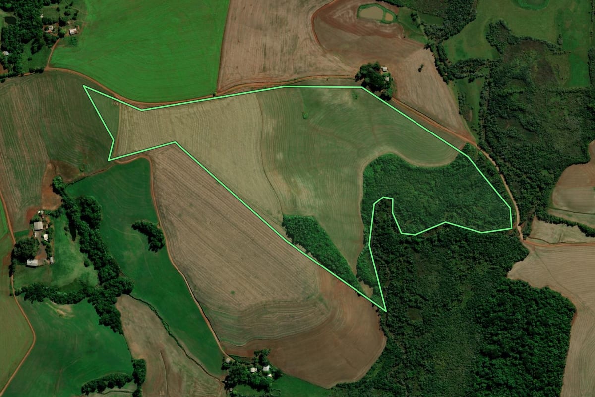 Imagem de satélite do imóvel rural em Saldanha Marinho (RS), com o contorno declarado no CAR desenhado por cima.