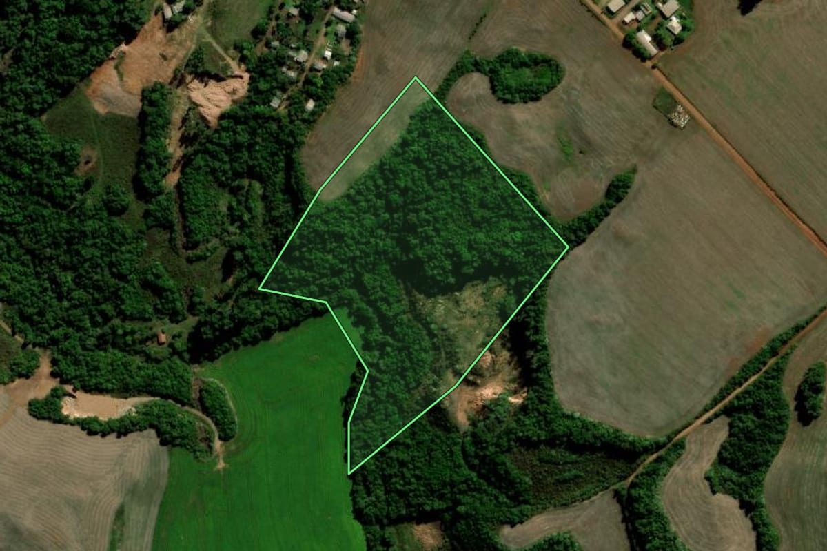 Imagem de satélite do imóvel rural em Salto do Jacuí (RS), com o contorno declarado no CAR desenhado por cima.
