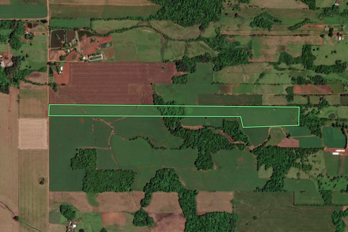 Imagem de satélite do imóvel rural em Salvador das Missões (RS), com o contorno declarado no CAR desenhado por cima.