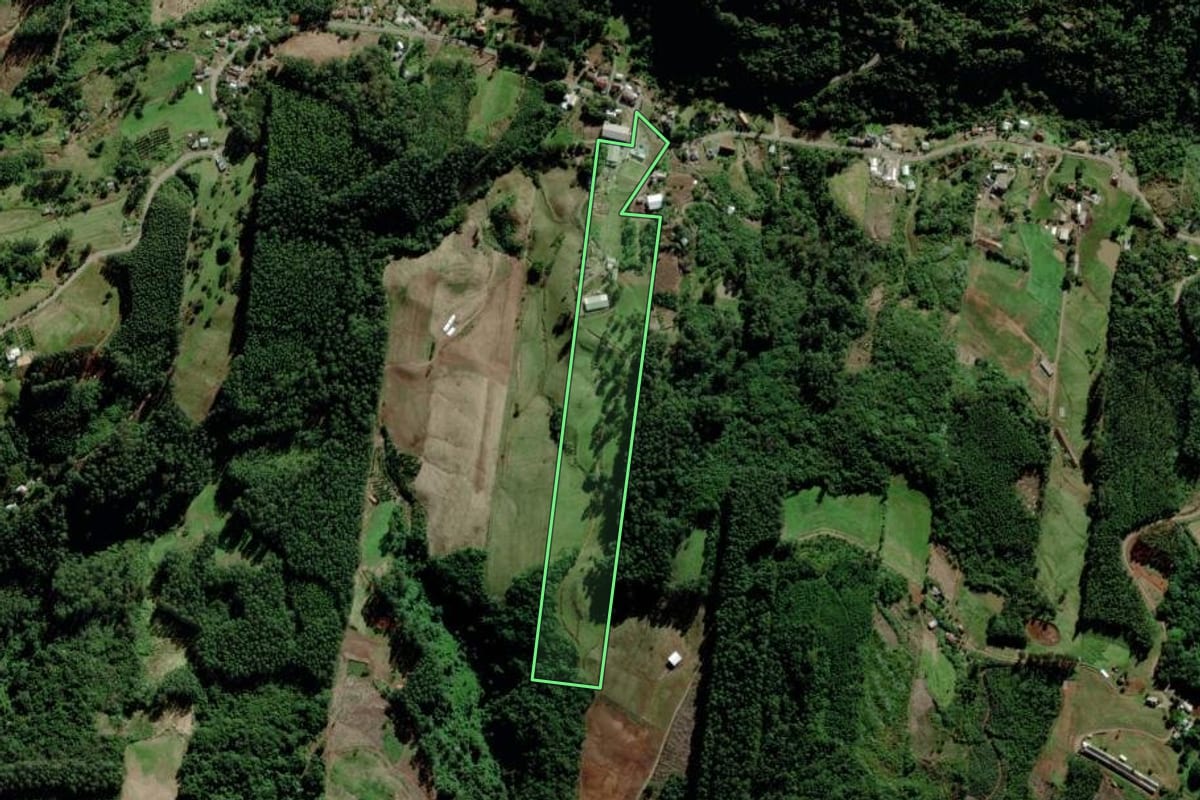 Imagem de satélite do imóvel rural em Salvador do Sul (RS), com o contorno declarado no CAR desenhado por cima.
