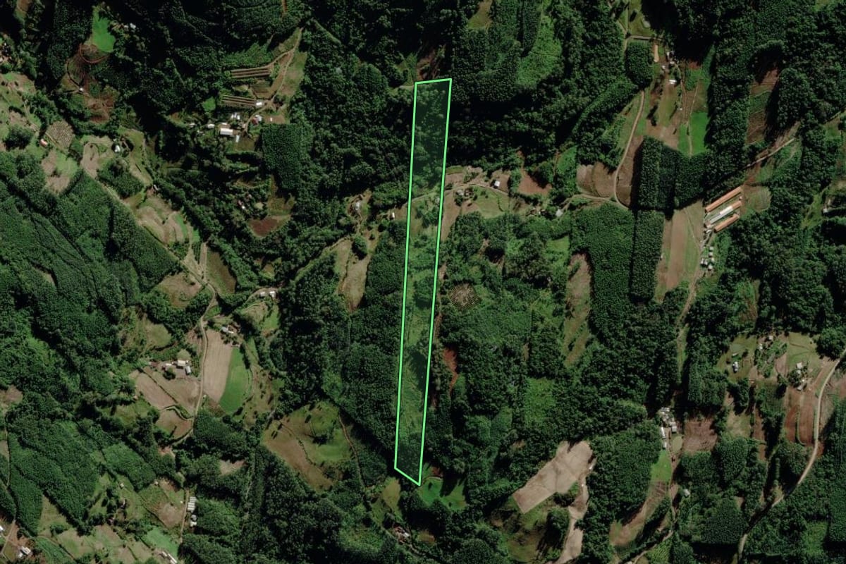 Imagem de satélite do imóvel rural em Salvador do Sul (RS), com o contorno declarado no CAR desenhado por cima.