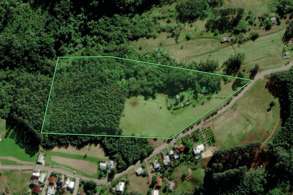 Imagem de satélite do imóvel rural em Salvador do Sul (RS), com o contorno declarado no CAR desenhado por cima.