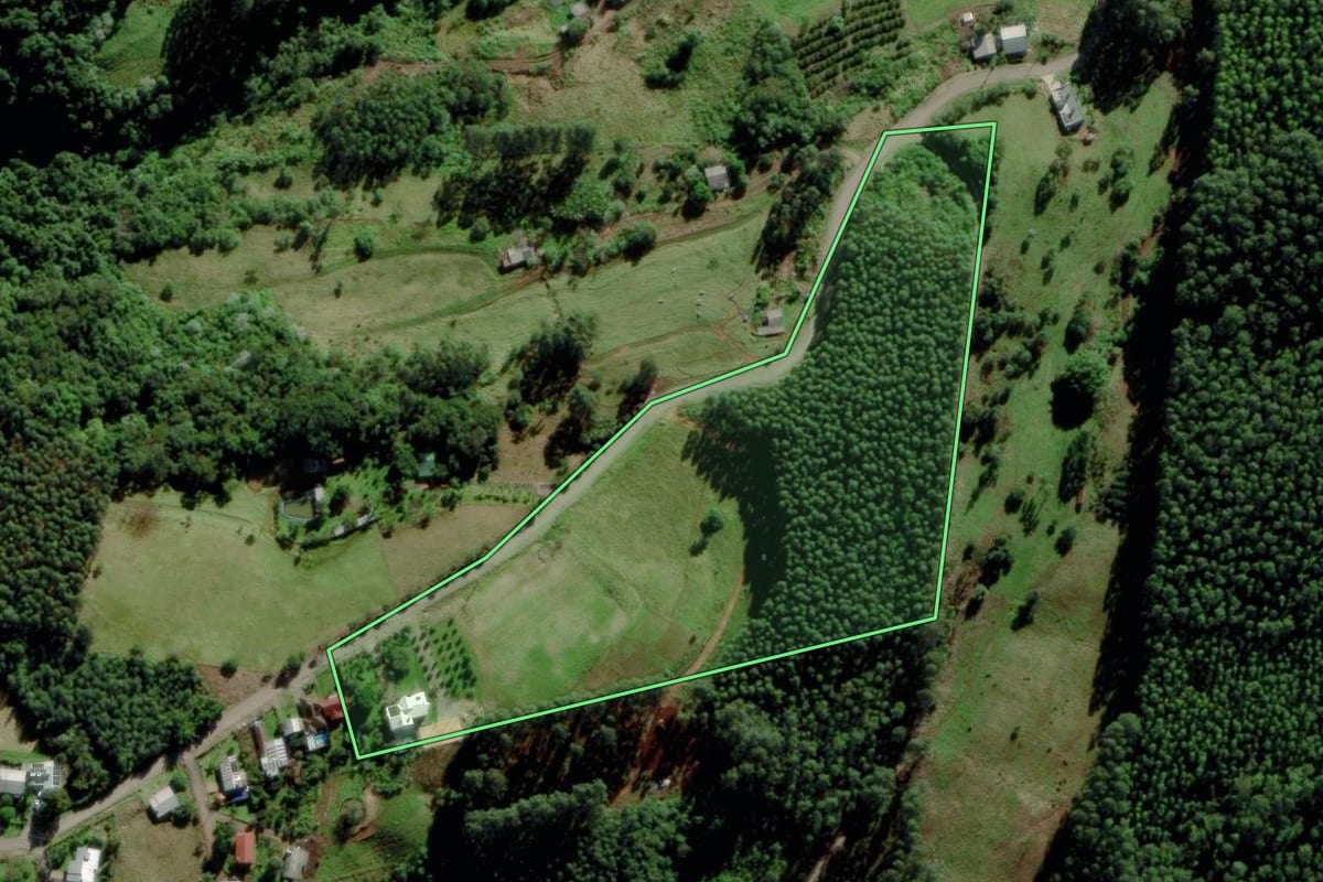 Imagem de satélite do imóvel rural em Salvador do Sul (RS), com o contorno declarado no CAR desenhado por cima.