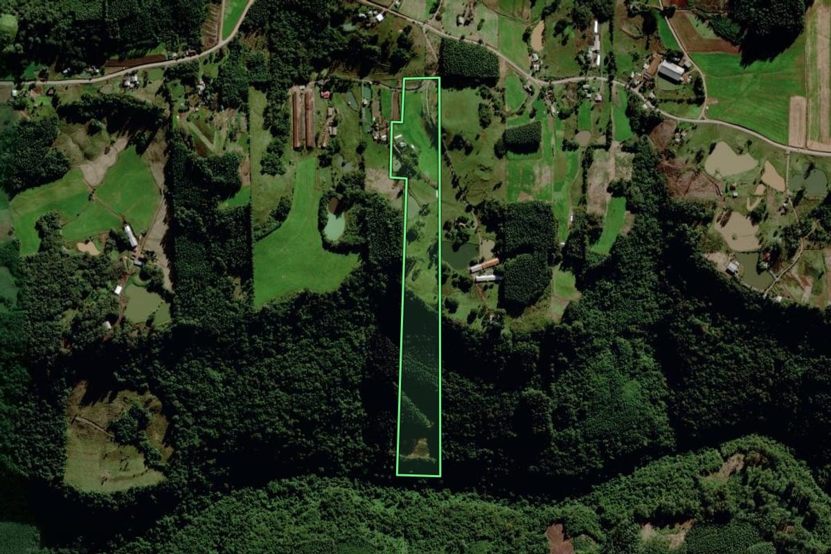 Imagem de satélite do imóvel rural em Salvador do Sul (RS), com o contorno declarado no CAR desenhado por cima.