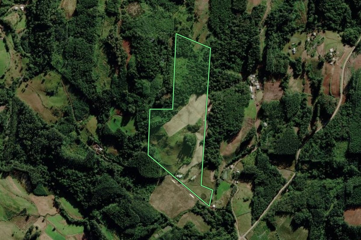 Imagem de satélite do imóvel rural em Salvador do Sul (RS), com o contorno declarado no CAR desenhado por cima.