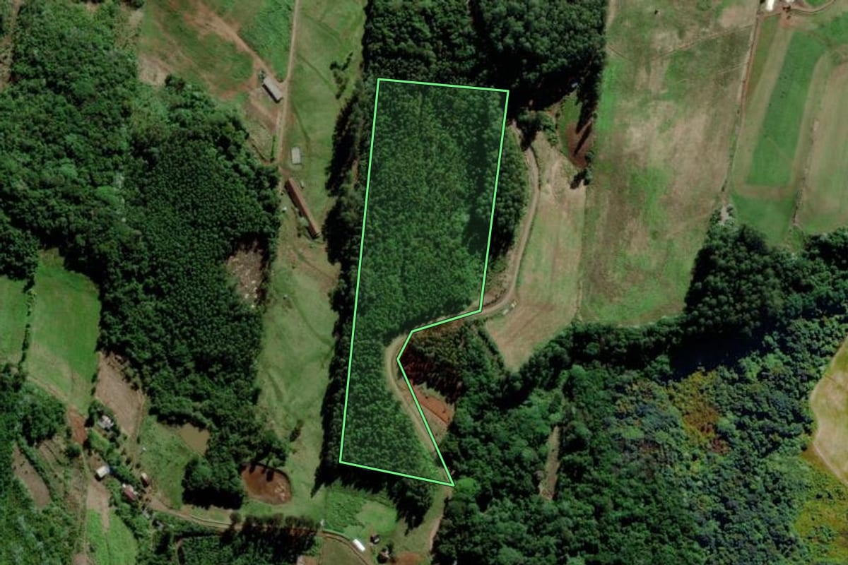 Imagem de satélite do imóvel rural em Salvador do Sul (RS), com o contorno declarado no CAR desenhado por cima.