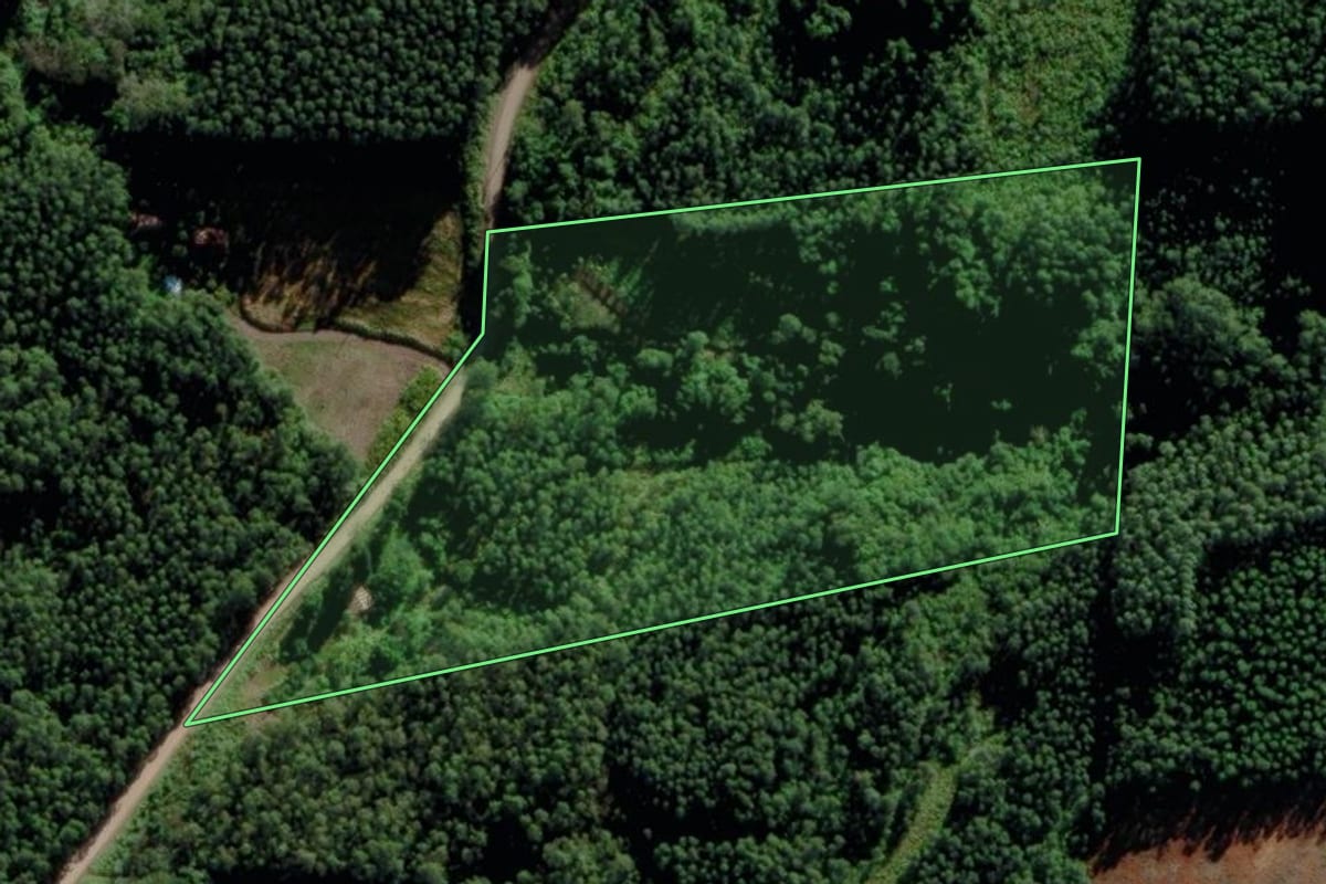 Imagem de satélite do imóvel rural em Salvador do Sul (RS), com o contorno declarado no CAR desenhado por cima.