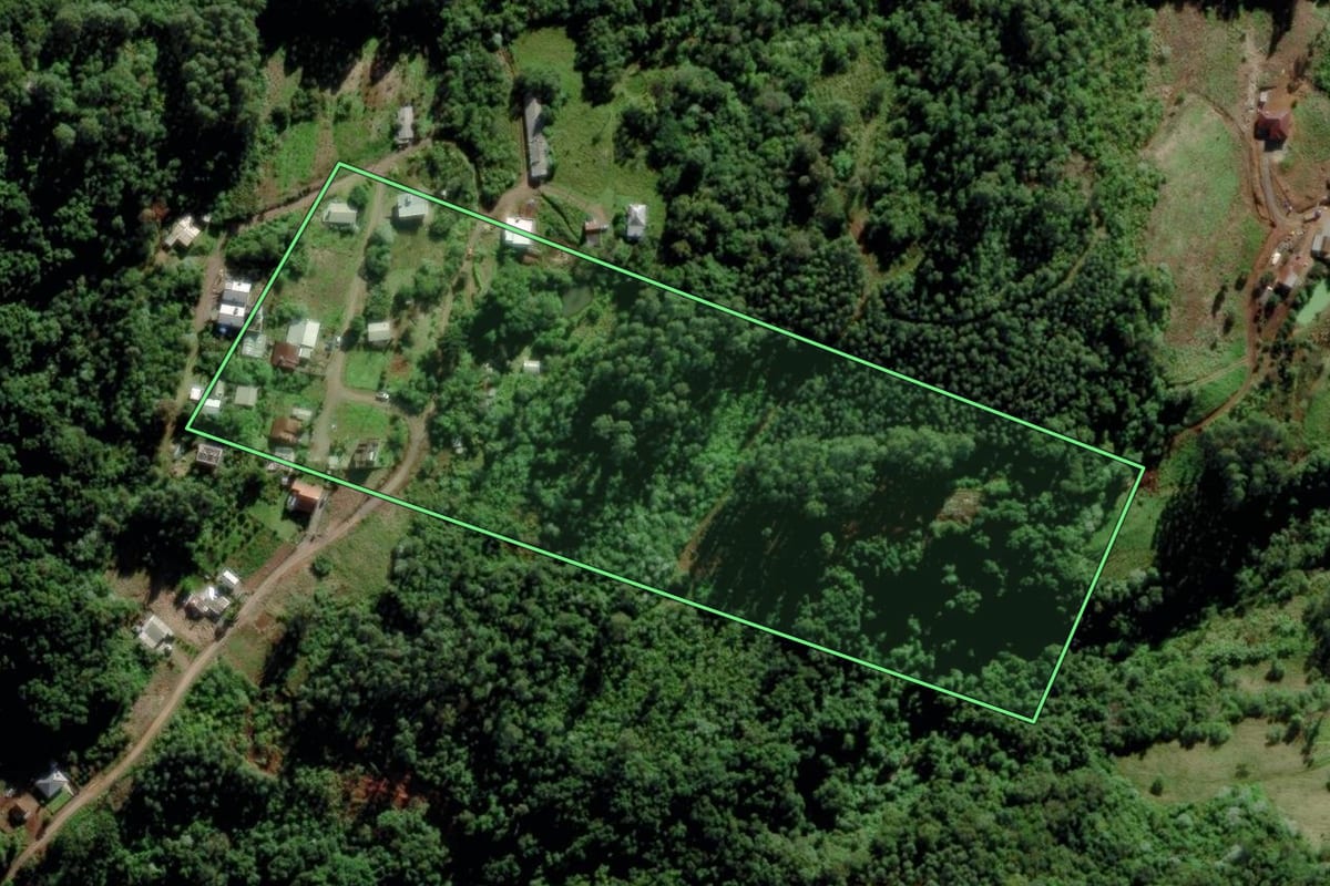 Imagem de satélite do imóvel rural em Salvador do Sul (RS), com o contorno declarado no CAR desenhado por cima.