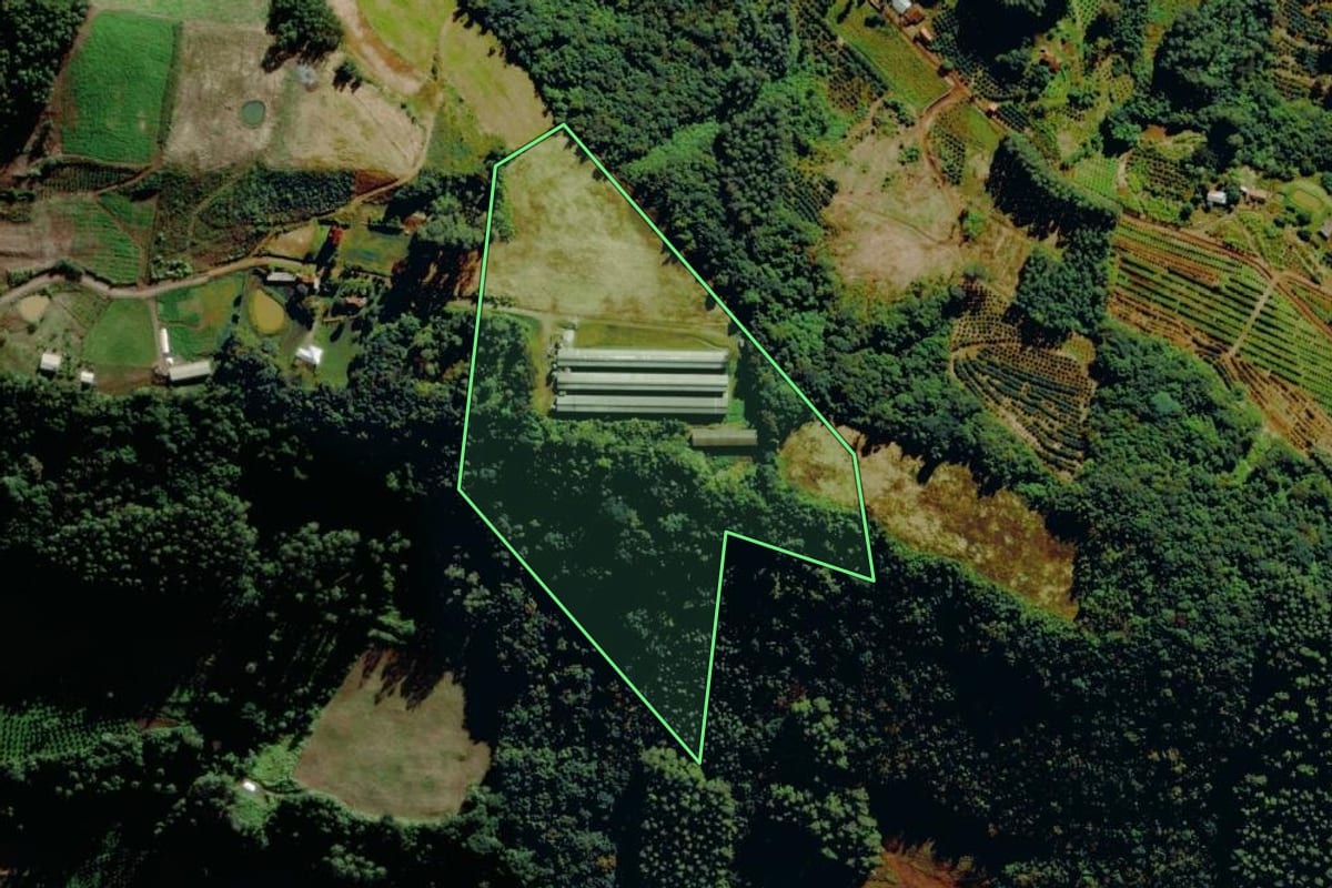Imagem de satélite do imóvel rural em Salvador do Sul (RS), com o contorno declarado no CAR desenhado por cima.
