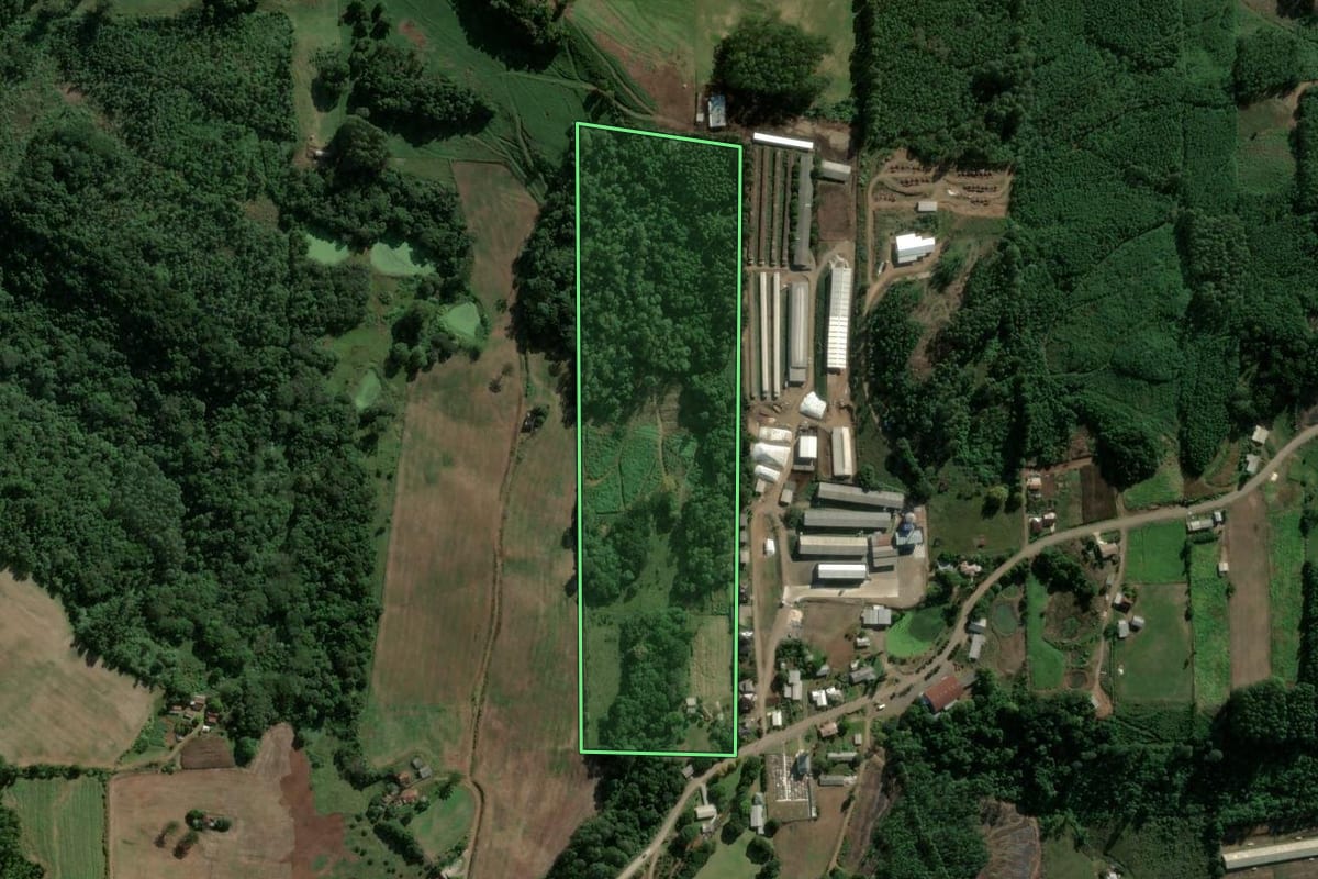 Imagem de satélite do imóvel rural em Salvador do Sul (RS), com o contorno declarado no CAR desenhado por cima.