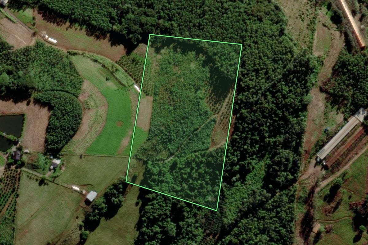 Imagem de satélite do imóvel rural em Salvador do Sul (RS), com o contorno declarado no CAR desenhado por cima.