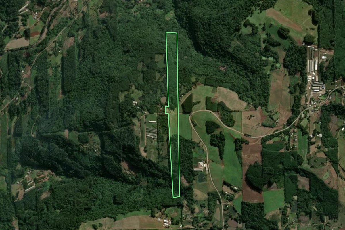 Imagem de satélite do imóvel rural em Salvador do Sul (RS), com o contorno declarado no CAR desenhado por cima.