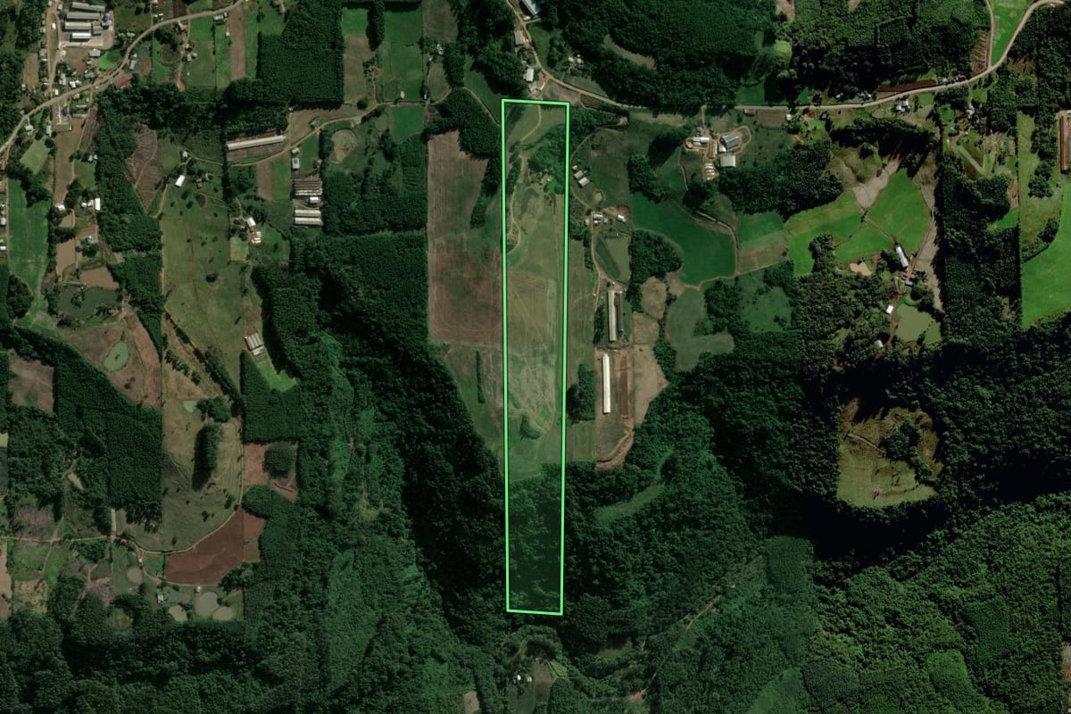 Imagem de satélite do imóvel rural em Salvador do Sul (RS), com o contorno declarado no CAR desenhado por cima.