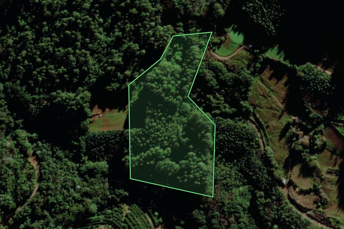 Imagem de satélite do imóvel rural em Salvador do Sul (RS), com o contorno declarado no CAR desenhado por cima.