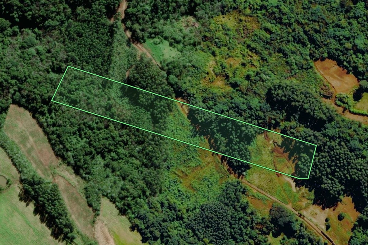 Imagem de satélite do imóvel rural em Salvador do Sul (RS), com o contorno declarado no CAR desenhado por cima.