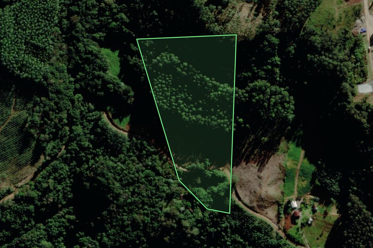 Imagem de satélite do imóvel rural em Salvador do Sul (RS), com o contorno declarado no CAR desenhado por cima.