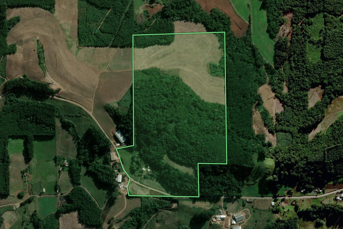 Imagem de satélite do imóvel rural em Salvador do Sul (RS), com o contorno declarado no CAR desenhado por cima.