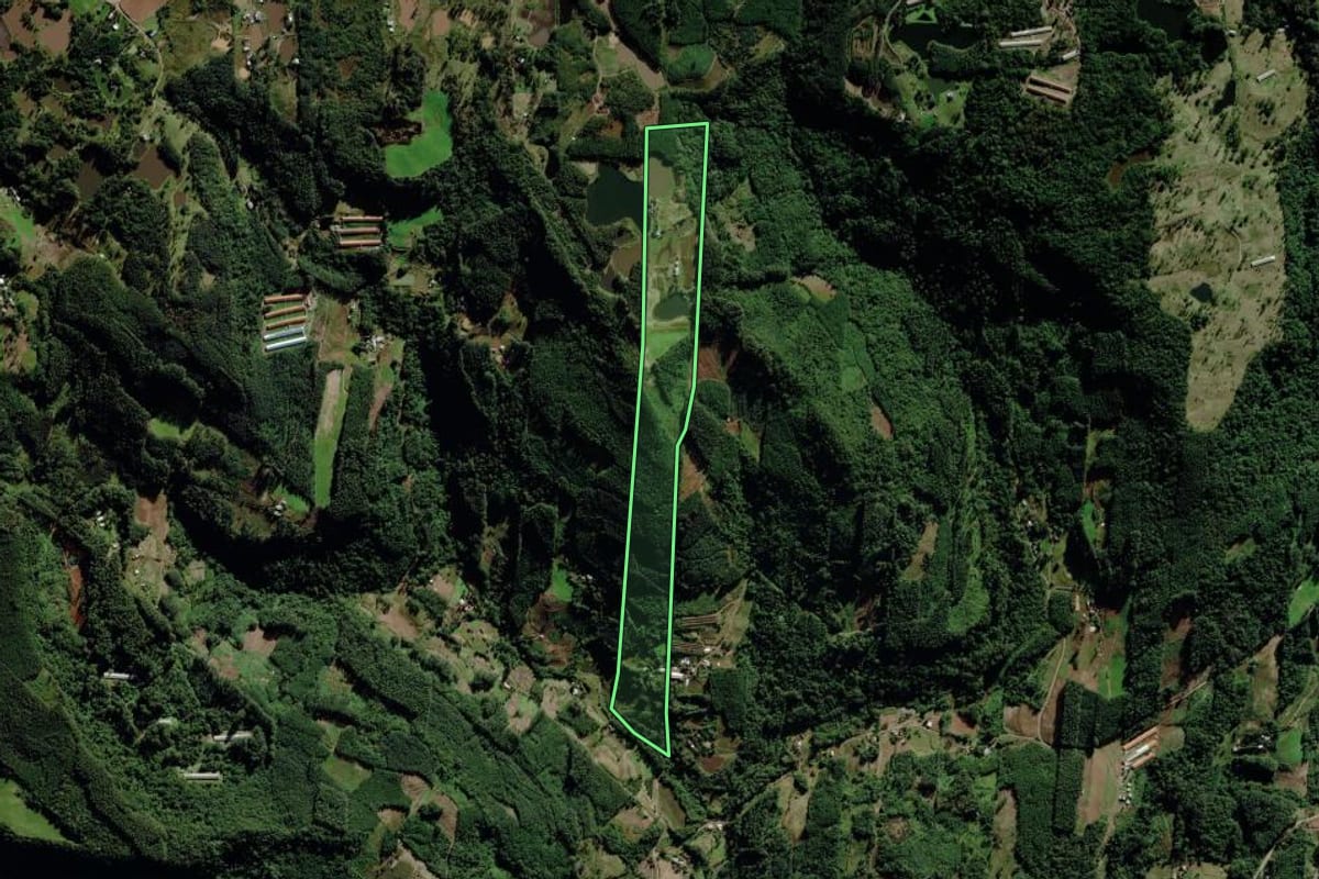 Imagem de satélite do imóvel rural em Salvador do Sul (RS), com o contorno declarado no CAR desenhado por cima.