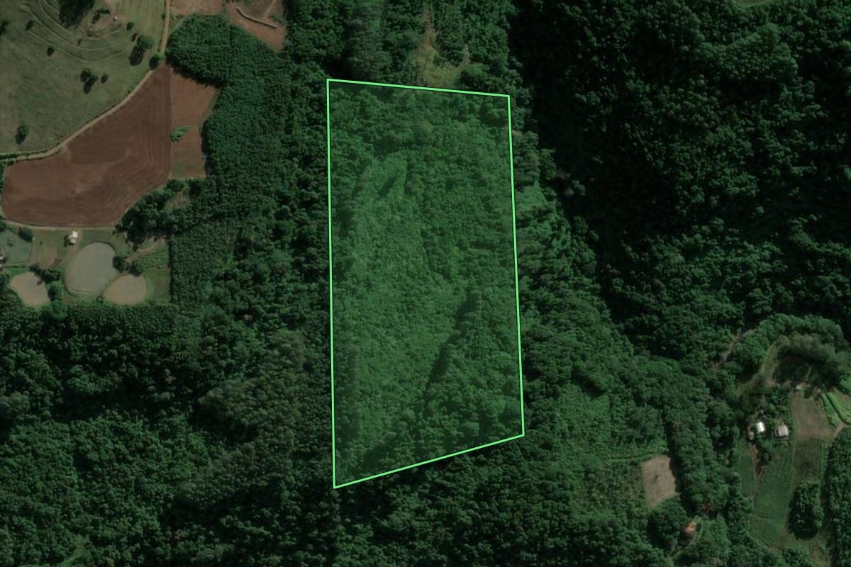 Imagem de satélite do imóvel rural em Salvador do Sul (RS), com o contorno declarado no CAR desenhado por cima.