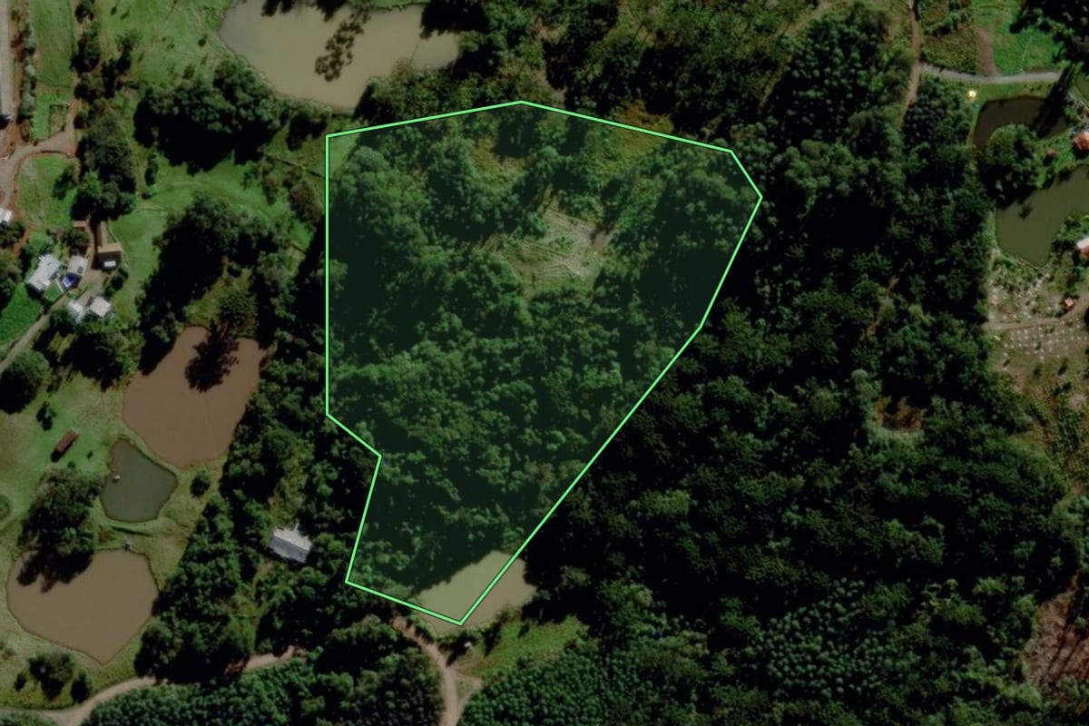 Imagem de satélite do imóvel rural em Salvador do Sul (RS), com o contorno declarado no CAR desenhado por cima.