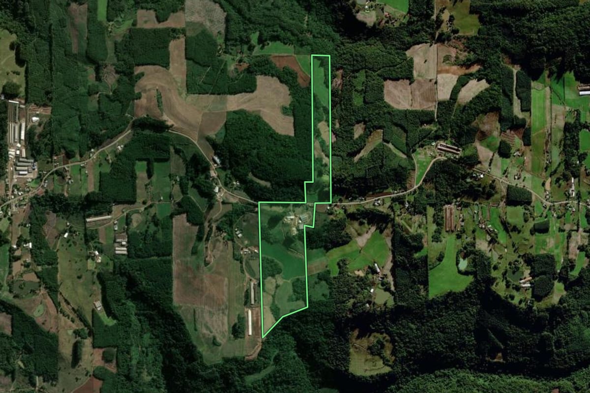 Imagem de satélite do imóvel rural em Salvador do Sul (RS), com o contorno declarado no CAR desenhado por cima.