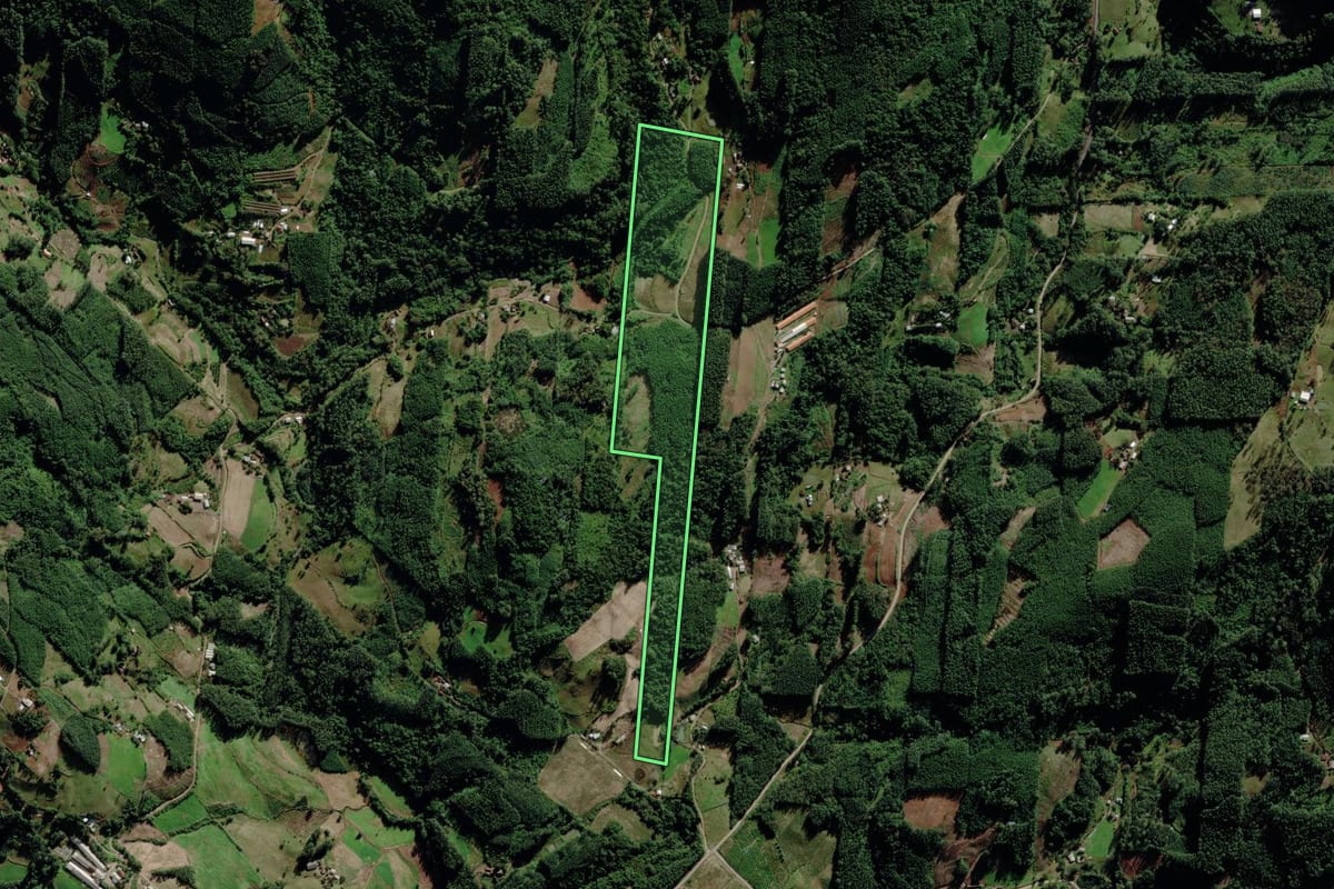 Imagem de satélite do imóvel rural em Salvador do Sul (RS), com o contorno declarado no CAR desenhado por cima.