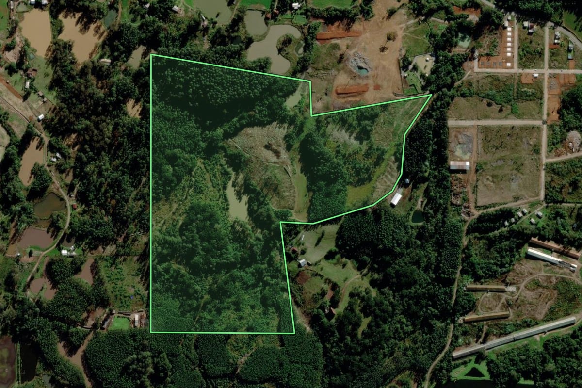 Imagem de satélite do imóvel rural em Salvador do Sul (RS), com o contorno declarado no CAR desenhado por cima.
