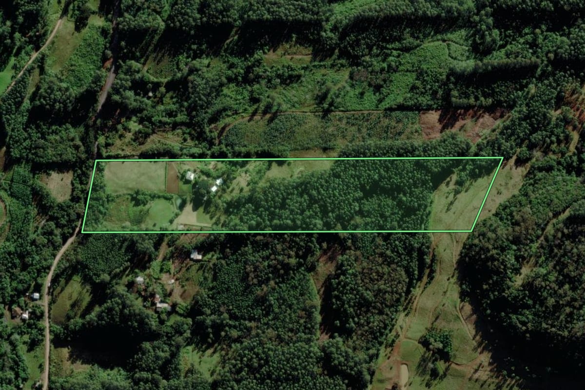 Imagem de satélite do imóvel rural em Salvador do Sul (RS), com o contorno declarado no CAR desenhado por cima.