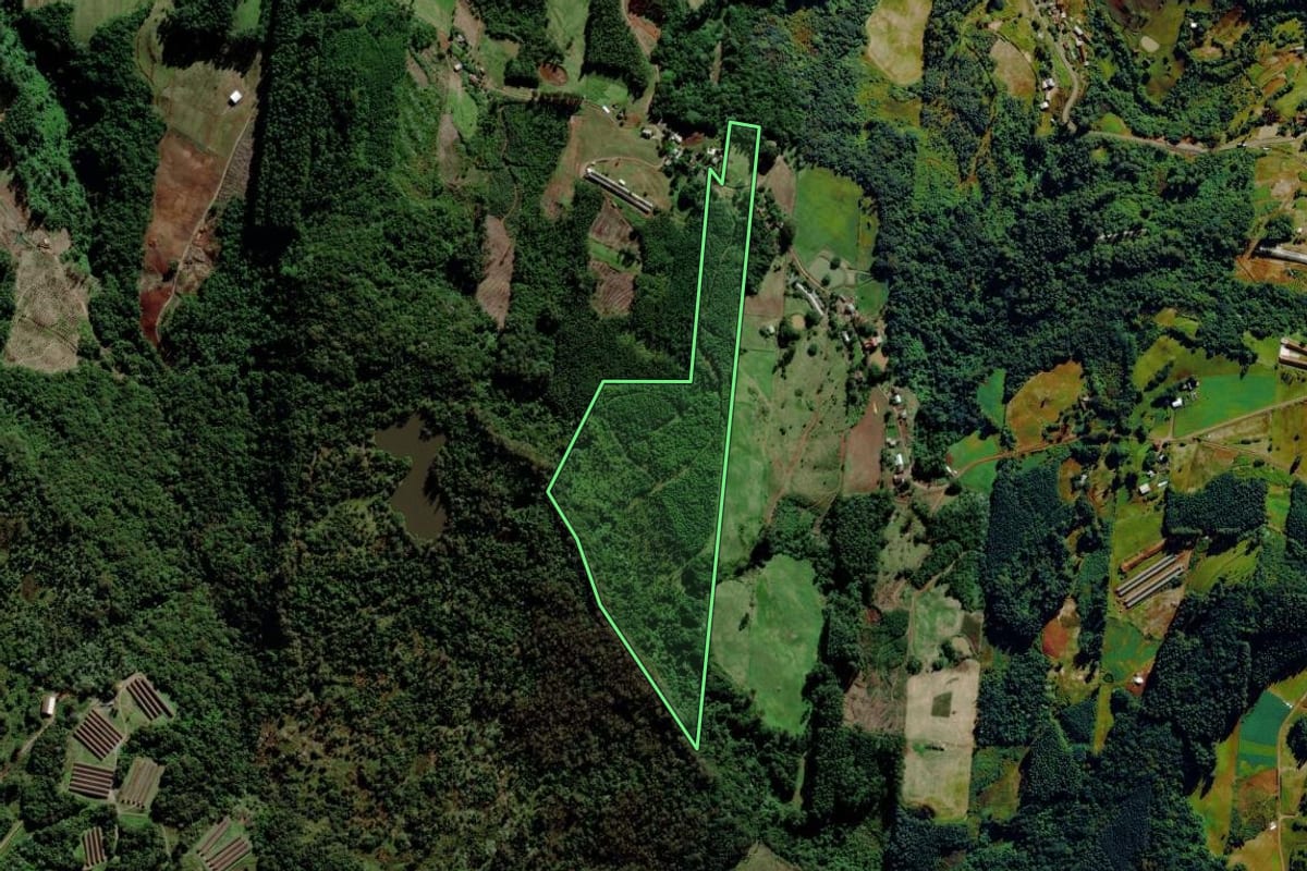 Imagem de satélite do imóvel rural em Salvador do Sul (RS), com o contorno declarado no CAR desenhado por cima.