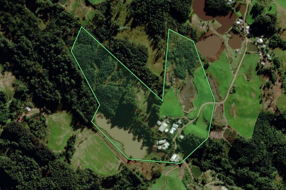 Imagem de satélite do imóvel rural em Salvador do Sul (RS), com o contorno declarado no CAR desenhado por cima.